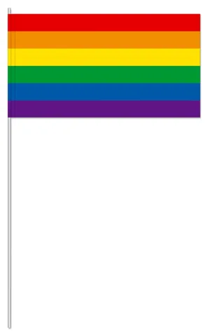 Pride pappersflagga 24 x 12 cm
